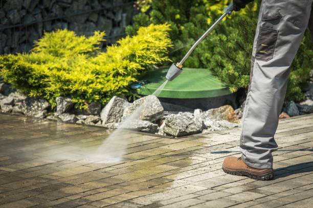 Best Oil Spill Cleanup  in Algoma, WI